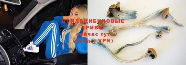 мяу мяу мука Армянск