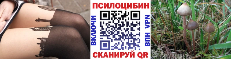 Купить где Белово Галлюциногенные грибы MAGIC MUSHROOMS